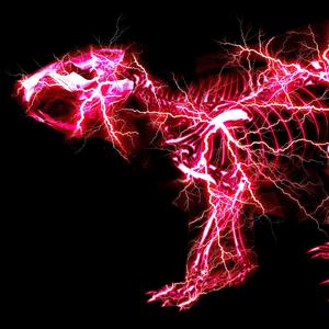 搡老岳熟女岩崎千鹤
